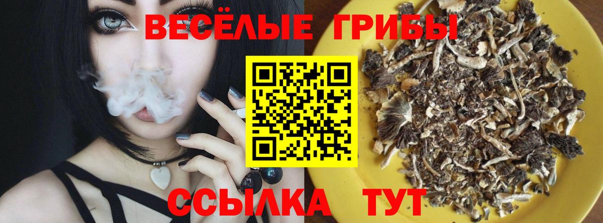 Псилоцибиновые грибы MAGIC MUSHROOMS  Вход с VPN  Благовещенск 
